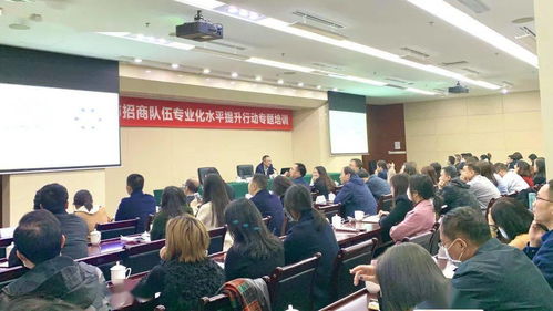 紧盯前沿技术，赋能产业发展——全市第六期专题培训聚焦区块链与影视专业招商能力提升